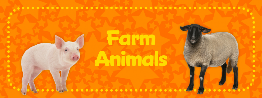 Farm Animals banner