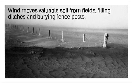 Wind moves valuable soil from fields, filling ditches and burying fence posts.