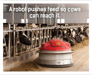 A robot pushes feed so cows can reach it