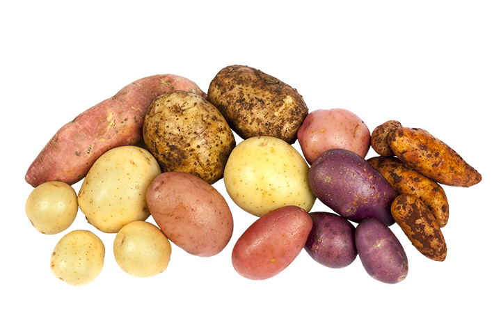 article-potatoessystem-9.k.png