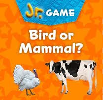 game-bird-or-mammal-jr.jpg
