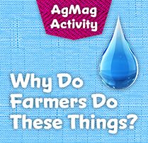 activity - why do farmers do these things?