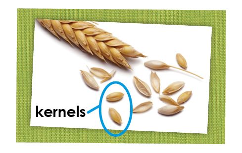 k-wheattoyou-kernels.jpg