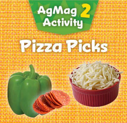 pizza-picks-gr2.jpg