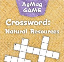 CrosswordGame
